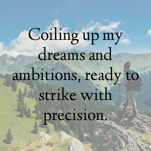 Anaconda Captions Photo For Instagram In [2025]-qE1AP9