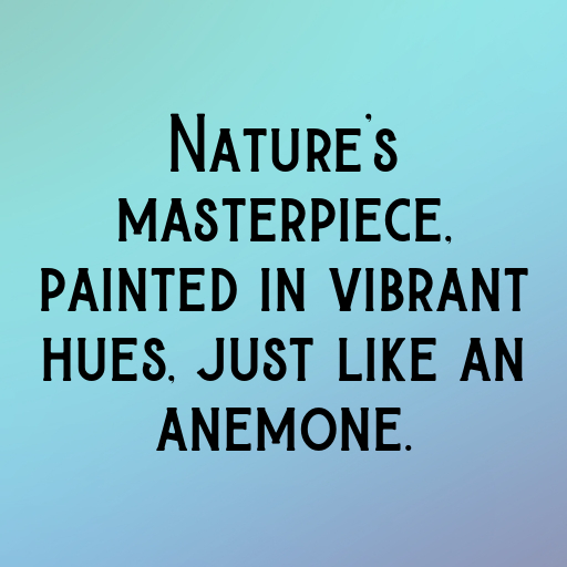 Anemone Captions Image For Instagram In 2025-lt6yoD