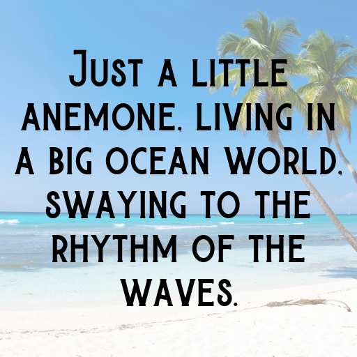 Anemone Captions Image For Instagram In 2025-UMyVTB