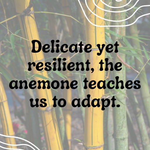 Anemone Captions Image For Instagram In 2025-VfS62S