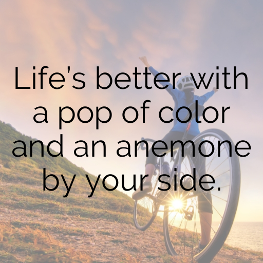 Anemone Captions Photo For Instagram In 2025-wxryf9