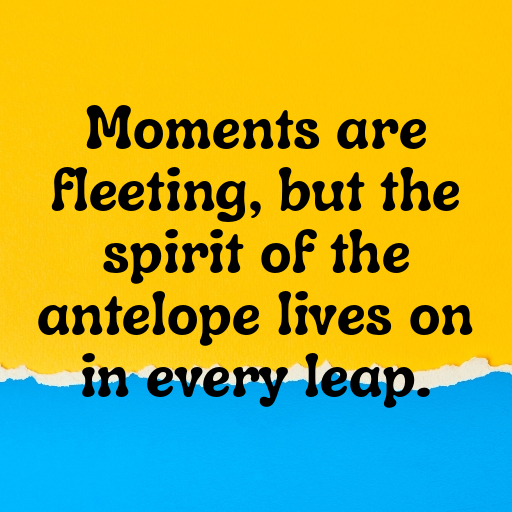 Antelope Captions Image For Instagram In (2025)-9DLFS9