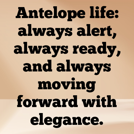 Antelope Captions Image For Instagram In (2025)-l6JpqN