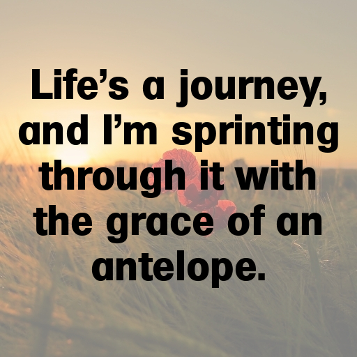 Antelope Captions Image For Instagram In (2025)-z6eotm