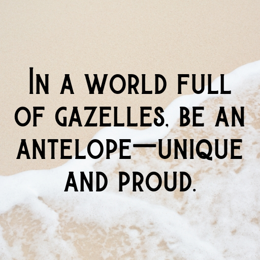 Antelope Captions Photo For Instagram In (2025)-Vh6Dxa