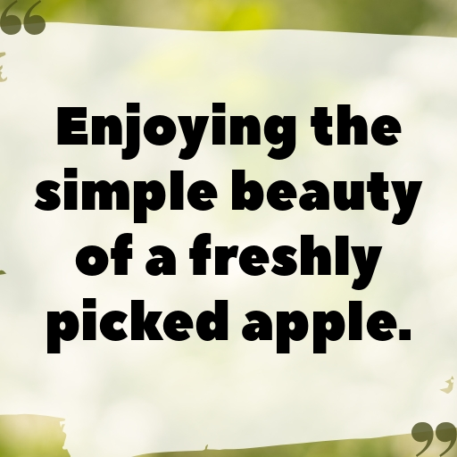 171+ Apple Captions For Instagram In 2025 5 Apple Captions Photo For Instagram In 2025-Rwo8GO