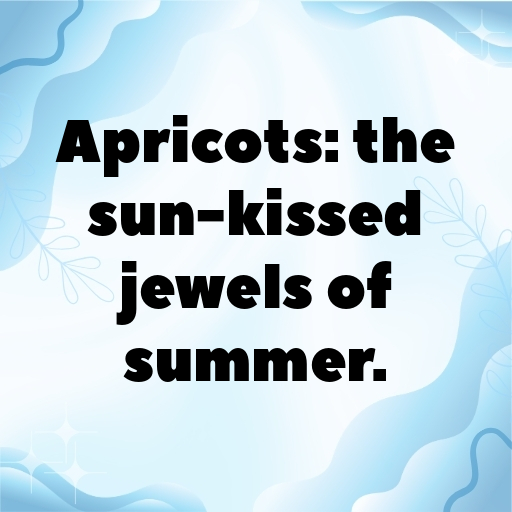 Apricot Captions Image For Instagram In 2025-bwoK86