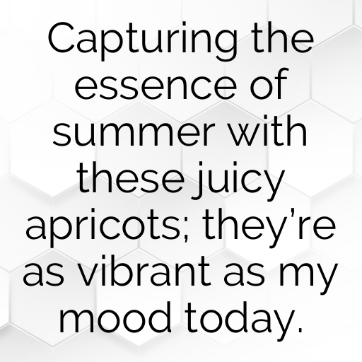 Apricot Captions Image For Instagram In 2025-jwppwl