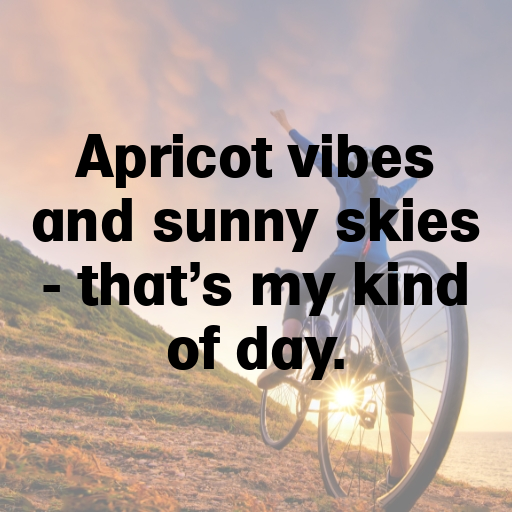 Apricot Captions Photo For Instagram In 2025-Sgu0Aq