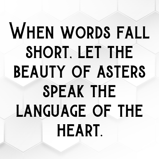 Aster Captions Image For Instagram In [2025]-uoeVol