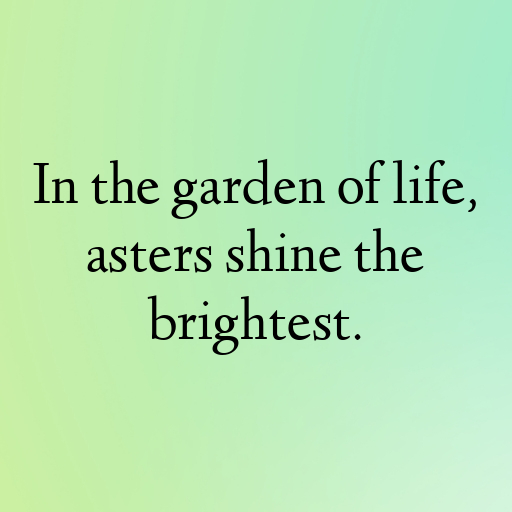 Aster Captions Photo For Instagram In [2025]-Xiwrgi