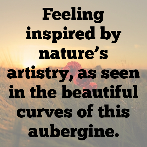 Aubergine Captions Photo For Instagram In [2025]-XJfmVP