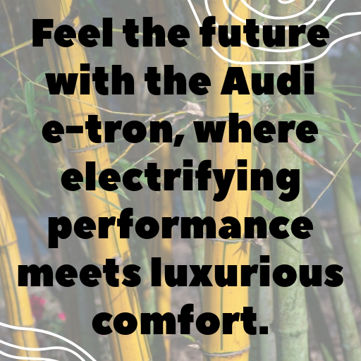 Audi e-tron Captions Image for Instagram In [2025]-mBaav2