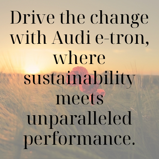 Audi e-tron Captions Photo for Instagram In [2025]-jhsyiN