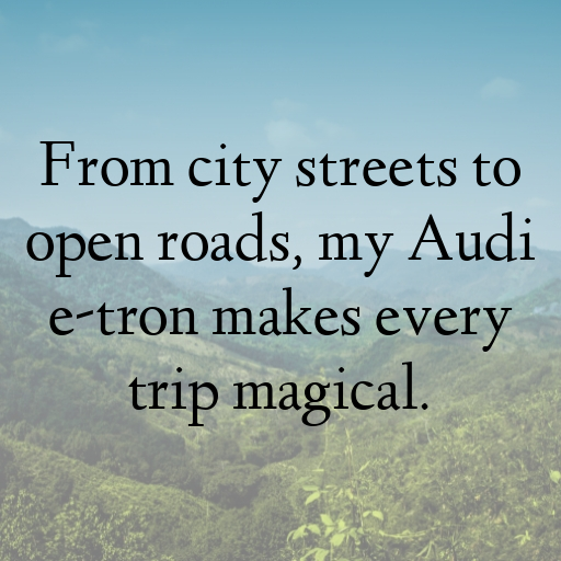 Audi e-tron Captions Photo for Instagram In [2025]-POkOJn