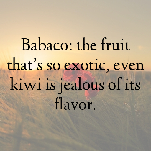 181+ Babaco Captions For Instagram In 2025 4 Babaco Captions Image For Instagram In 2025-au4MB2