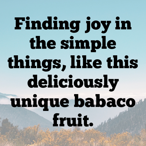 181+ Babaco Captions For Instagram In 2025 10 Babaco Captions Image For Instagram In 2025-gf5aew