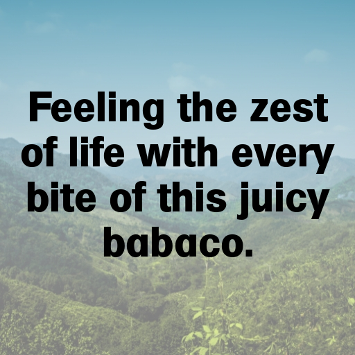 181+ Babaco Captions For Instagram In 2025 7 Babaco Captions Photo For Instagram In 2025-Bz1AGk