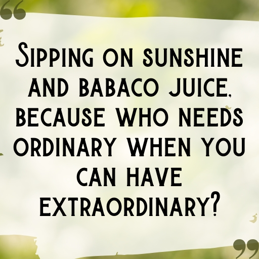 181+ Babaco Captions For Instagram In 2025 3 Babaco Captions Photo For Instagram In 2025-Eht1Tt