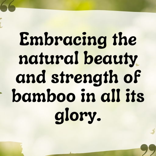 Bamboo Shoots Captions Image For Instagram In (2025)-oD9EGn