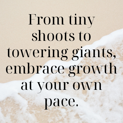 Bamboo Shoots Captions Image For Instagram In (2025)-puLcpB