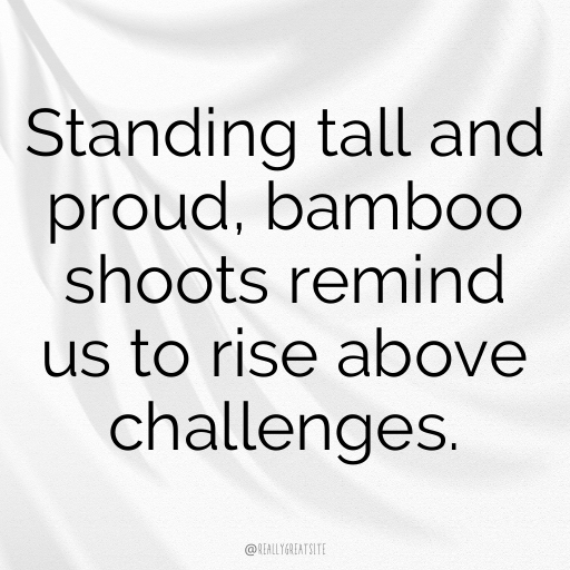 Bamboo Shoots Captions Image For Instagram In (2025)-tcYjRC