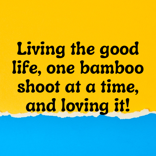 Bamboo Shoots Captions Photo For Instagram In (2025)-9GEEkO