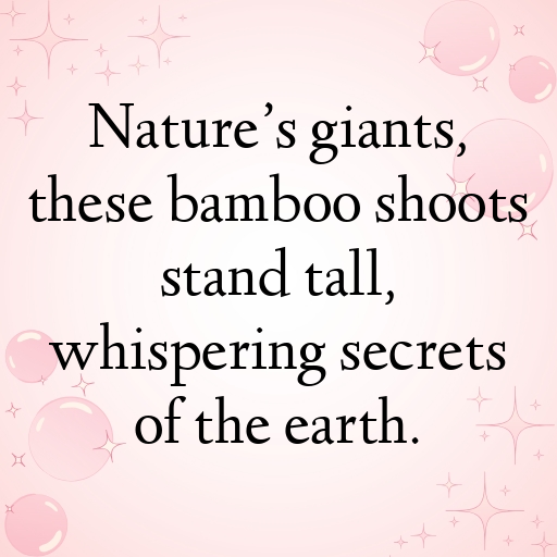 Bamboo Shoots Captions Photo For Instagram In (2025)-X5ooFt
