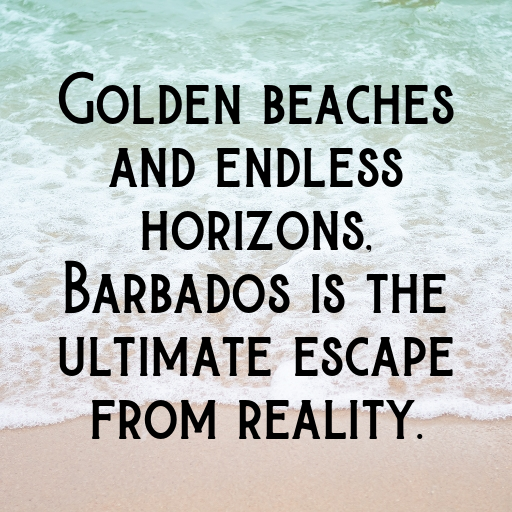 154+ Barbados Captions For Instagram In 2025 3 Barbados Captions Photo For Instagram In 2025-kE2aZk