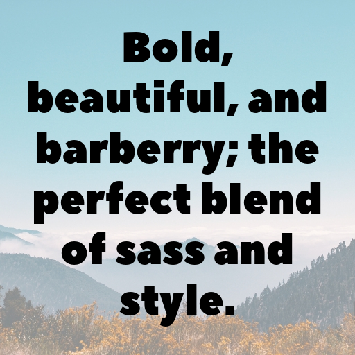 Barberry Captions Image For Instagram In [2025]-1oKWnG