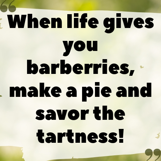 Barberry Captions Image For Instagram In [2025]-7RRMLJ