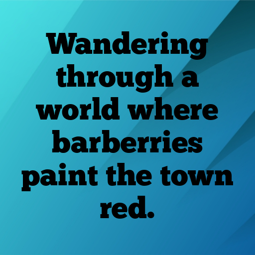 Barberry Captions Image For Instagram In [2025]-uqyttf