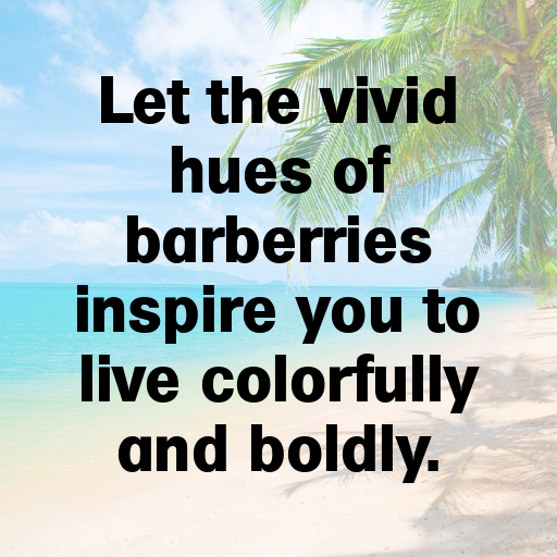 Barberry Captions Image For Instagram In [2025]-yHiBzb