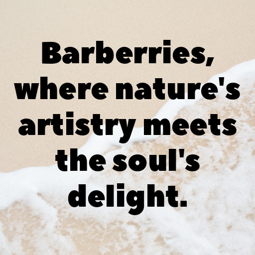 Barberry Captions Photo For Instagram In [2025]-pilyfS