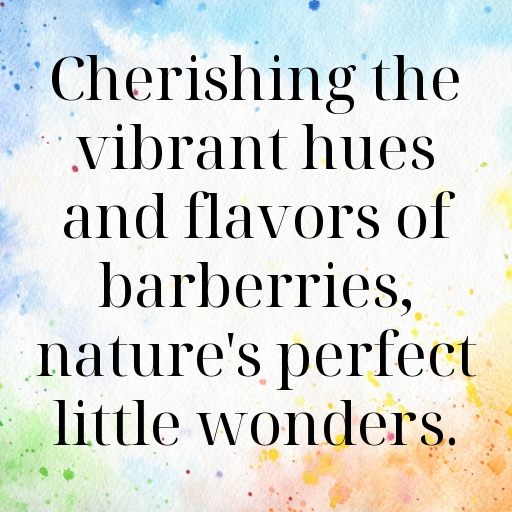 Barberry Captions Photo For Instagram In [2025]-u4yEba