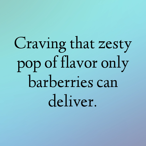 Barberry Captions Photo For Instagram In [2025]-yuEIPT