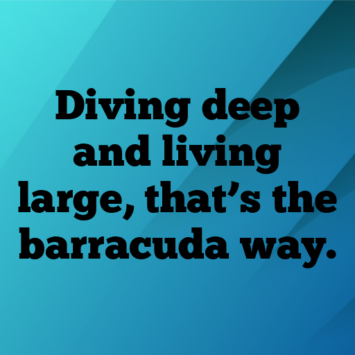 Barracuda Captions Photo For Instagram In (2025)-4GCPei