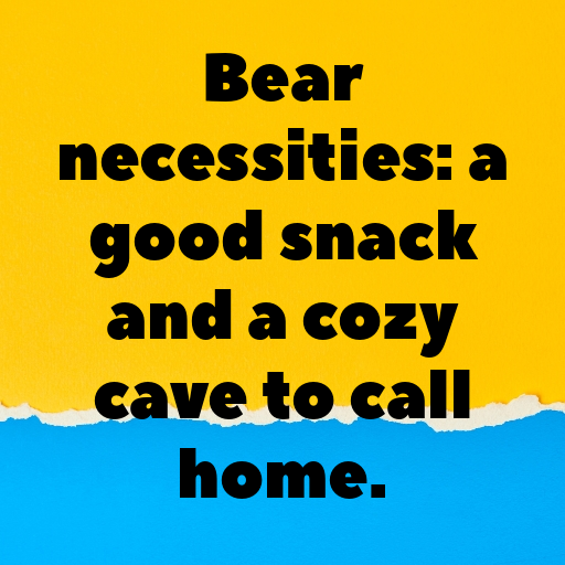 Bear Captions Photo For Instagram In [2025]-0zhiVI