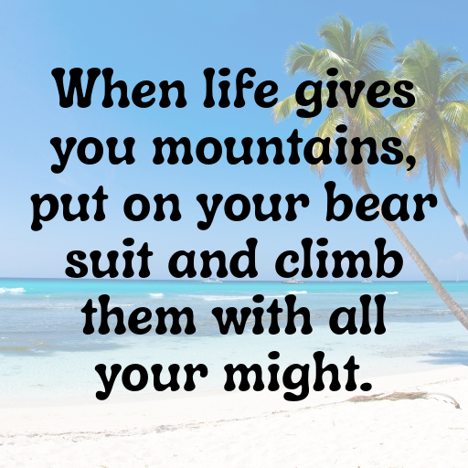 Bear Captions Photo For Instagram In [2025]-FXhTg2