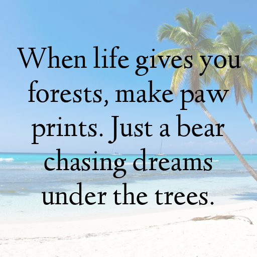 Bear Captions Photo For Instagram In [2025]-JsXHDd