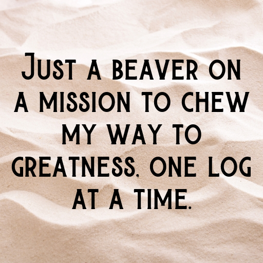 Beaver Captions Image For Instagram In [2025]-EGoAZ0