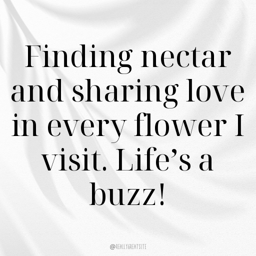 170+ Bee Captions For Instagram In 2025 7 Bee Captions Image For Instagram In 2025-Qs6NsK