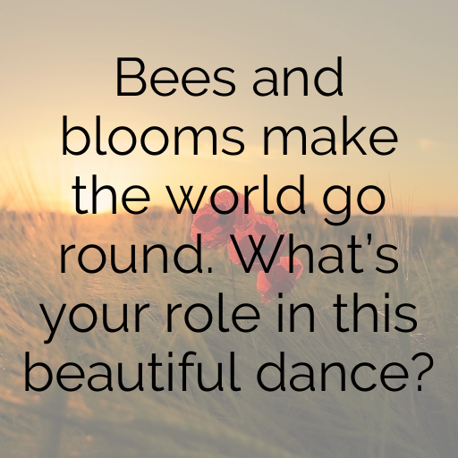 170+ Bee Captions For Instagram In 2025 8 Bee Captions Image For Instagram In 2025-VpGwhw