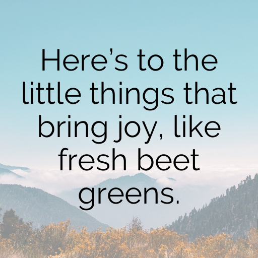 Beet Greens Captions Image For Instagram In 2025-iQadT8