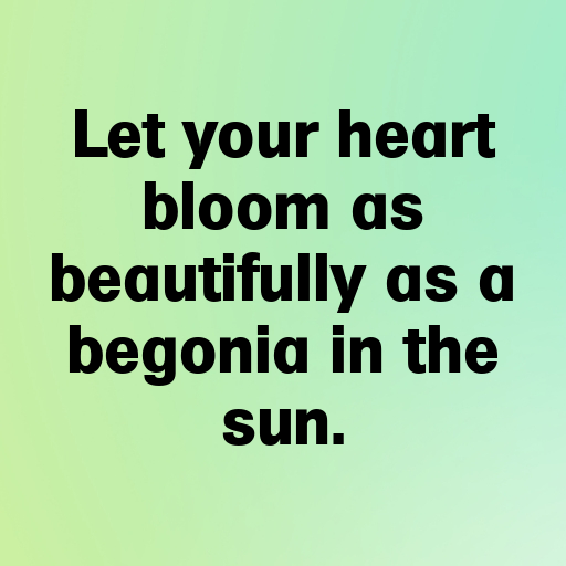 184+ Begonia Captions For Instagram In 2025 10 Begonia Captions Photo For Instagram In 2025-5XyDwN