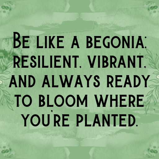 184+ Begonia Captions For Instagram In 2025 7 Begonia Captions Photo For Instagram In 2025-qTkFgT