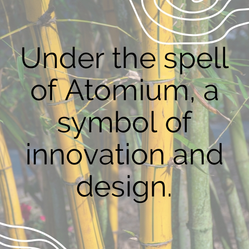 Belgium Captions Photo For Instagram In [2025]-KR3MfK