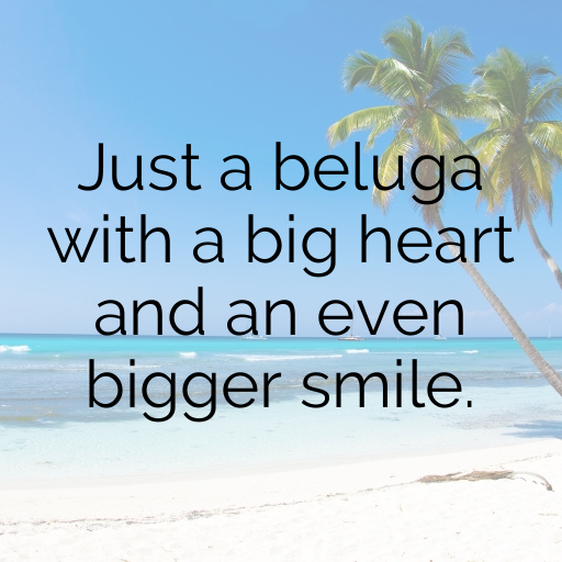 Beluga Captions Image For Instagram In [2025]-10YWv6