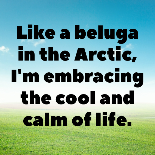 Beluga Captions Image For Instagram In [2025]-29rI51