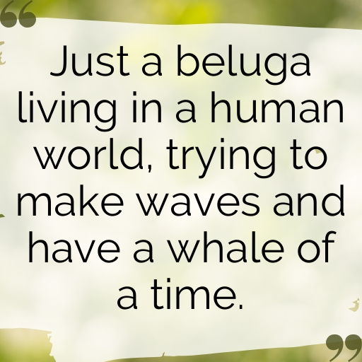 Beluga Captions Image For Instagram In [2025]-Rnavfb